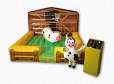 mechanical-bull-for-kids