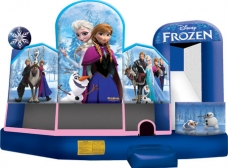 frozen-combo-rentals