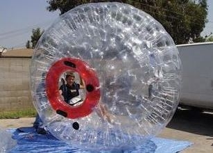 hamster-ball-austin