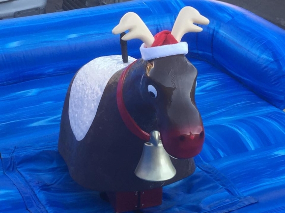 reindeer-austin